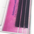 Best selling High quality Camellia eyelashes Volume Y shape lashes Eyelash extensions